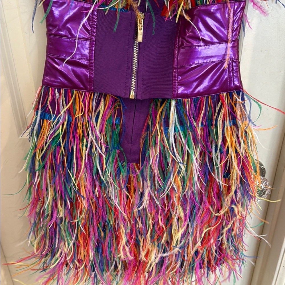 Colorful Feathered Dress with Purple Band - Picture 6 of 6